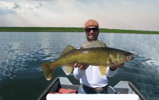 Dore Lake Michel Point Campground Amazing Fishing and Camping