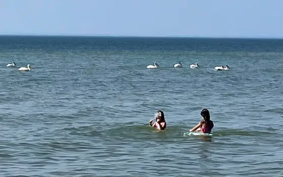 Dore Lake Michel Point Campground Amazing Fishing and Camping