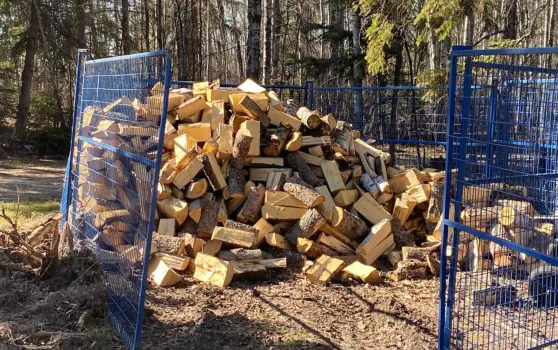 Dore Lake Michel Point Campground Amazing Fishing and Camping